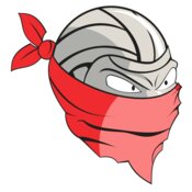 VOLLEYBALL BANDIT RQC