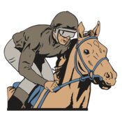AR EQUEST 15 RC