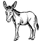 BURRO001