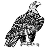 EAGLE018