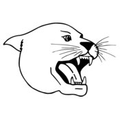 CAT04