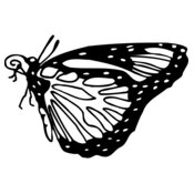 BTRFLY03