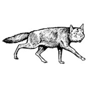 F_W005